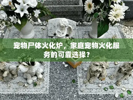 宠物尸体火化炉，家庭宠物火化服务的可靠选择？
