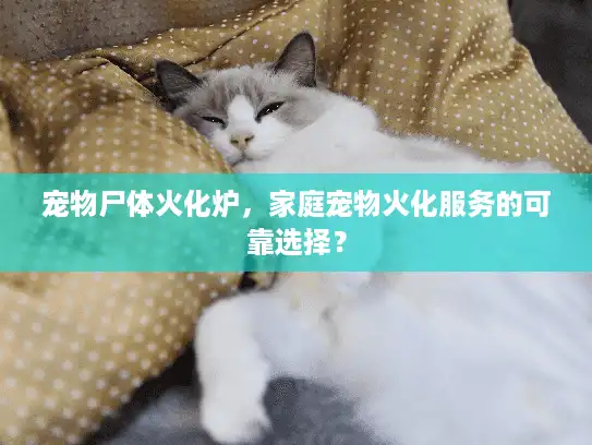 宠物尸体火化炉，家庭宠物火化服务的可靠选择？