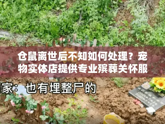 仓鼠离世后不知如何处理？宠物实体店提供专业殡葬关怀服务