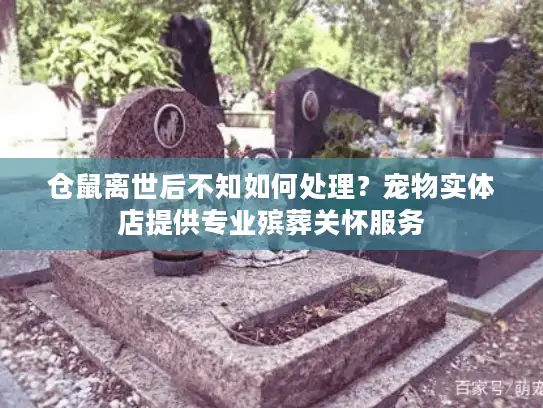 仓鼠离世后不知如何处理？宠物实体店提供专业殡葬关怀服务