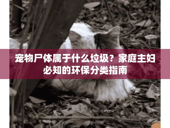 宠物尸体属于什么垃圾？家庭主妇必知的环保分类指南