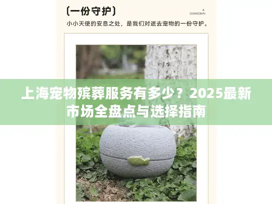 上海宠物殡葬服务有多少？2025最新市场全盘点与选择指南