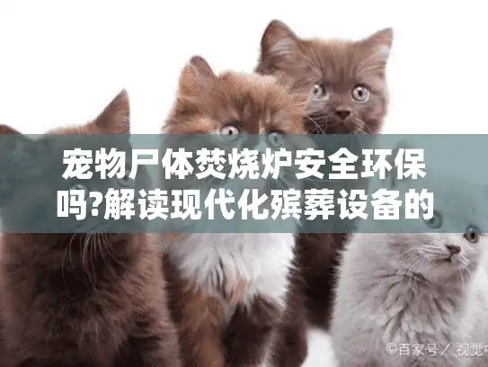 宠物尸体焚烧炉安全环保吗?解读现代化殡葬设备的科学处理流程