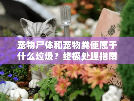 宠物尸体和宠物粪便属于什么垃圾？终极处理指南