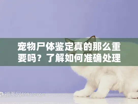 宠物尸体鉴定真的那么重要吗？了解如何准确处理告别爱宠