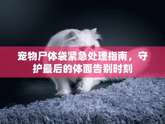 宠物尸体袋紧急处理指南，守护最后的体面告别时刻