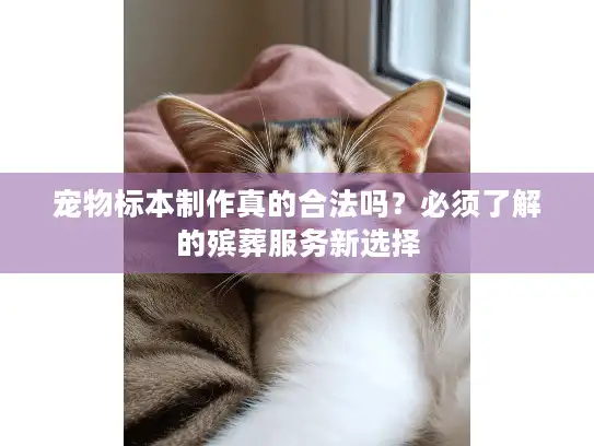 宠物标本制作真的合法吗？必须了解的殡葬服务新选择