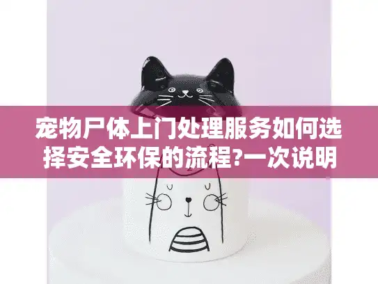 宠物尸体上门处理服务如何选择安全环保的流程?一次说明白