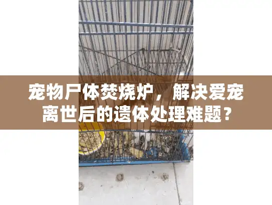 宠物尸体焚烧炉，解决爱宠离世后的遗体处理难题？