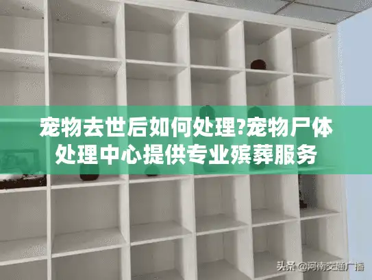 宠物去世后如何处理?宠物尸体处理中心提供专业殡葬服务
