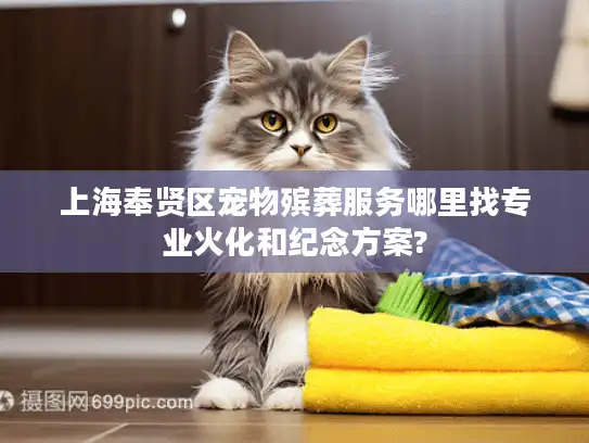 上海奉贤区宠物殡葬服务哪里找专业火化和纪念方案?