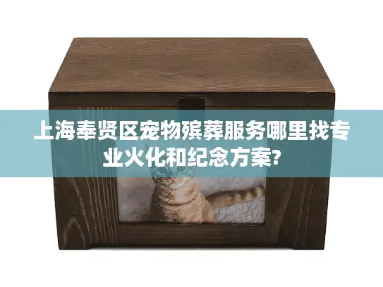 上海奉贤区宠物殡葬服务哪里找专业火化和纪念方案?