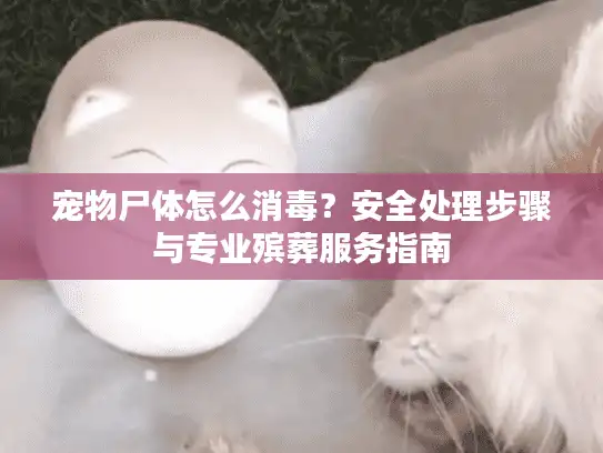 宠物尸体怎么消毒？安全处理步骤与专业殡葬服务指南