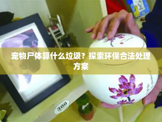 宠物尸体算什么垃圾？探索环保合法处理方案