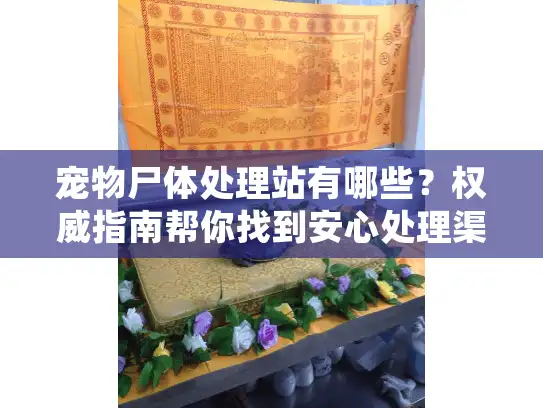 宠物尸体处理站有哪些？权威指南帮你找到安心处理渠道