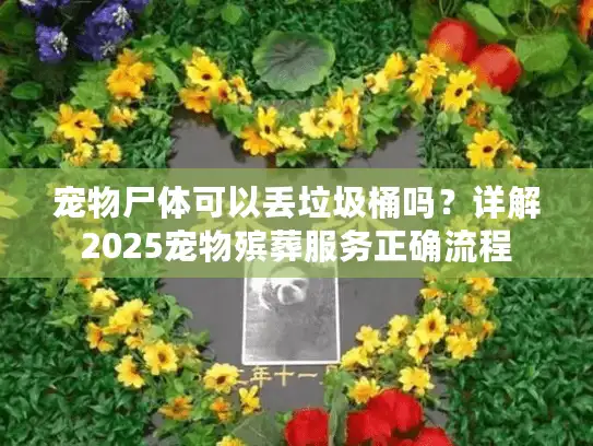 宠物尸体可以丢垃圾桶吗？详解2025宠物殡葬服务正确流程