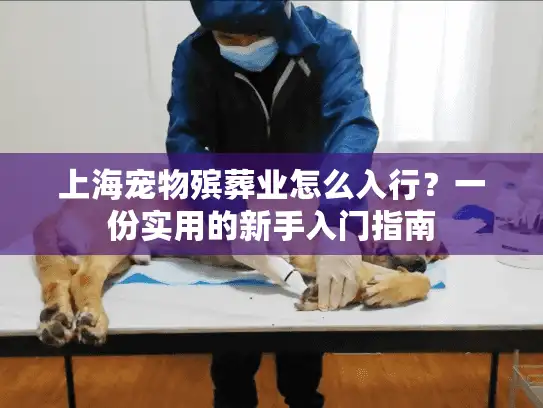 上海宠物殡葬业怎么入行？一份实用的新手入门指南