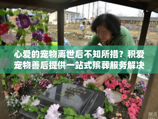 心爱的宠物离世后不知所措？积爱宠物善后提供一站式殡葬服务解决方案