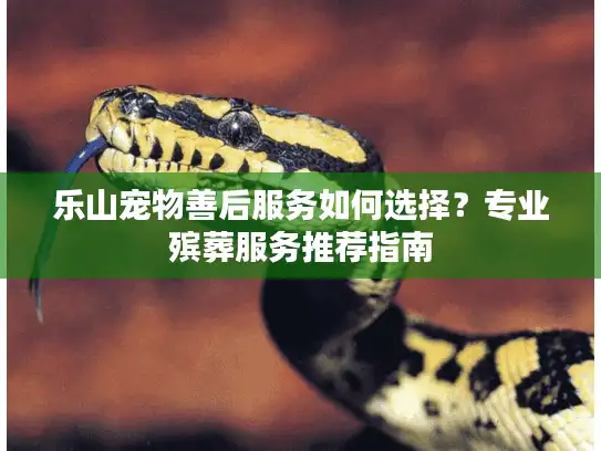 乐山宠物善后服务如何选择？专业殡葬服务推荐指南