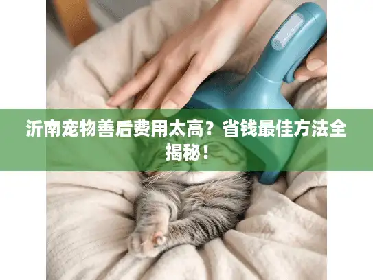 沂南宠物善后费用太高？省钱最佳方法全揭秘！