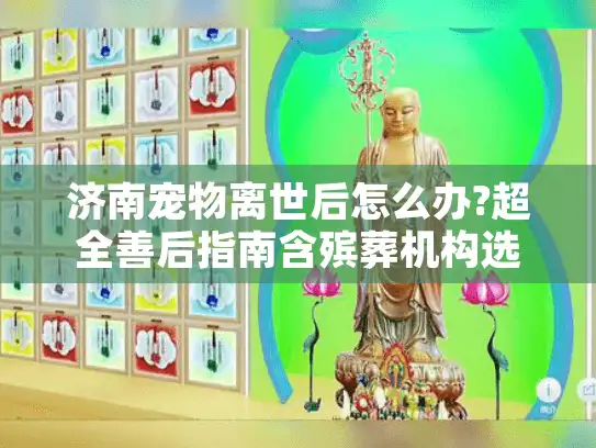 济南宠物离世后怎么办?超全善后指南含殡葬机构选择避坑