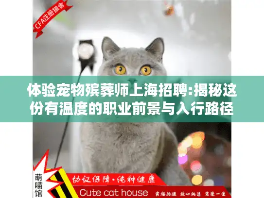 体验宠物殡葬师上海招聘:揭秘这份有温度的职业前景与入行路径