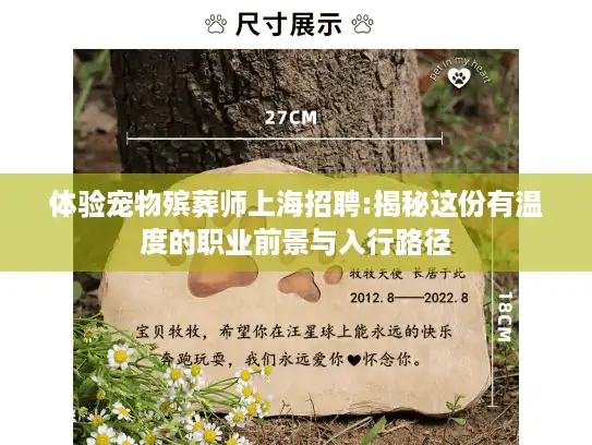 体验宠物殡葬师上海招聘:揭秘这份有温度的职业前景与入行路径