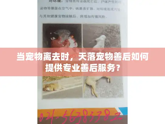 当宠物离去时，天落宠物善后如何提供专业善后服务？