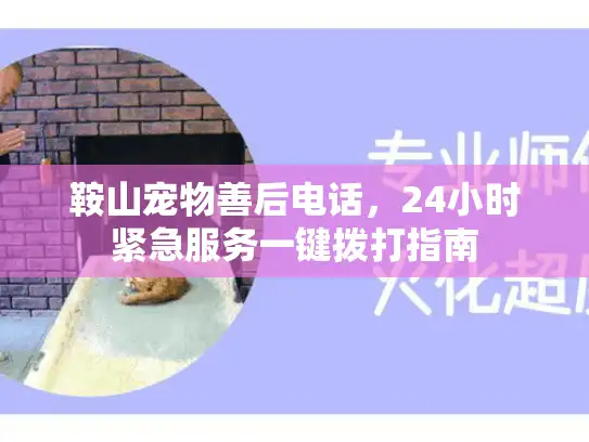 鞍山宠物善后电话，24小时紧急服务一键拨打指南
