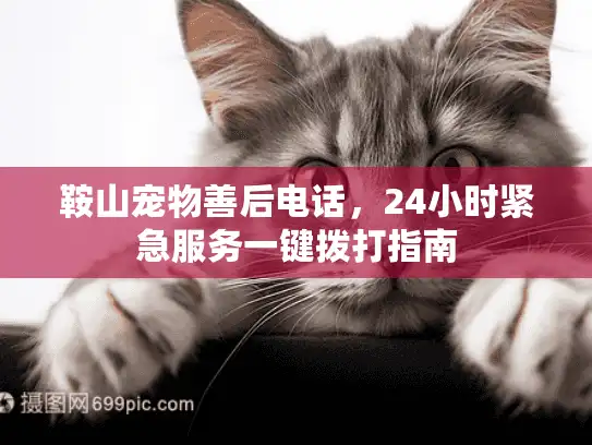 鞍山宠物善后电话，24小时紧急服务一键拨打指南