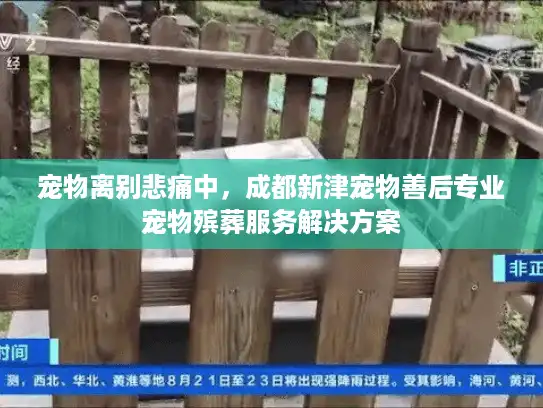 宠物离别悲痛中，成都新津宠物善后专业宠物殡葬服务解决方案