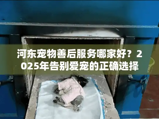 河东宠物善后服务哪家好？2025年告别爱宠的正确选择