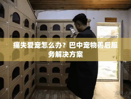 痛失爱宠怎么办？巴中宠物善后服务解决方案