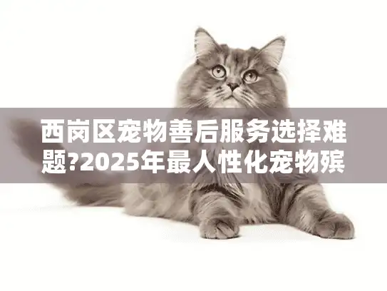 西岗区宠物善后服务选择难题?2025年最人性化宠物殡葬指南
