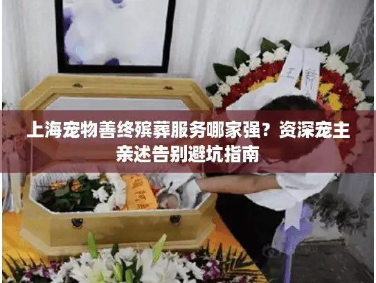 上海宠物善终殡葬服务哪家强？资深宠主亲述告别避坑指南
