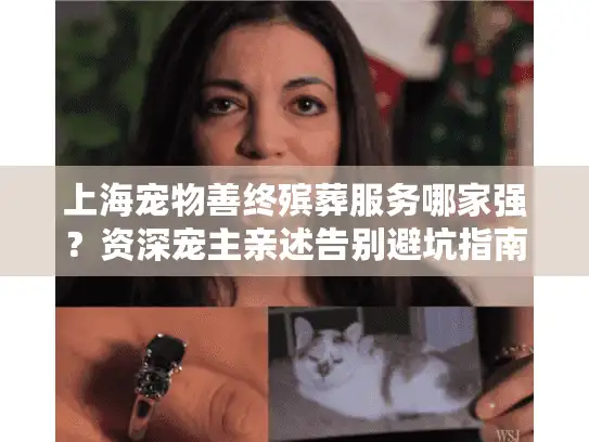 上海宠物善终殡葬服务哪家强？资深宠主亲述告别避坑指南