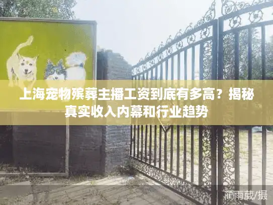 上海宠物殡葬主播工资到底有多高？揭秘真实收入内幕和行业趋势