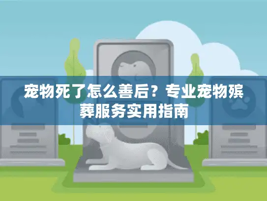 宠物死了怎么善后？专业宠物殡葬服务实用指南