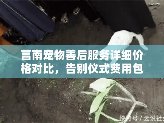 莒南宠物善后服务详细价格对比，告别仪式费用包含哪些项目？