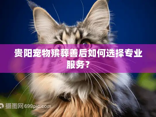 贵阳宠物殡葬善后如何选择专业服务？