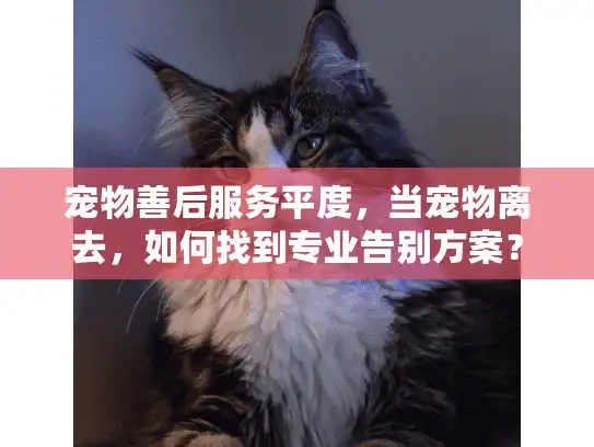 宠物善后服务平度，当宠物离去，如何找到专业告别方案？