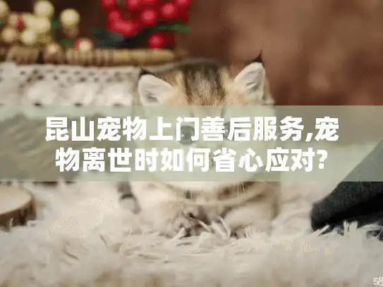 昆山宠物上门善后服务,宠物离世时如何省心应对?