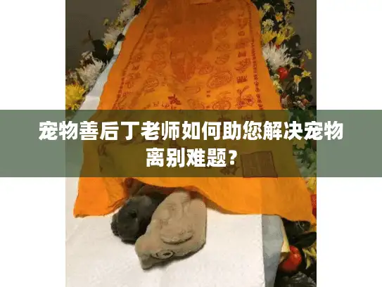 宠物善后丁老师如何助您解决宠物离别难题？