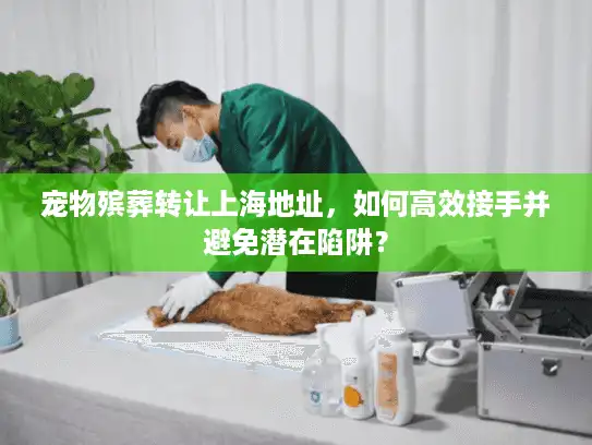 宠物殡葬转让上海地址，如何高效接手并避免潜在陷阱？