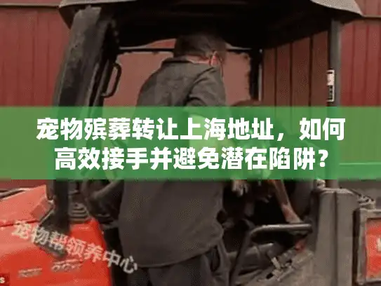 宠物殡葬转让上海地址，如何高效接手并避免潜在陷阱？