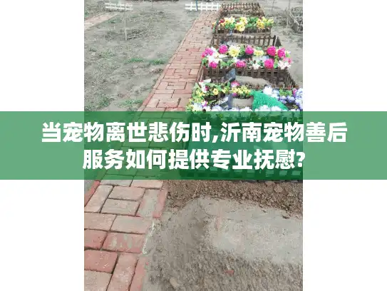 当宠物离世悲伤时,沂南宠物善后服务如何提供专业抚慰?
