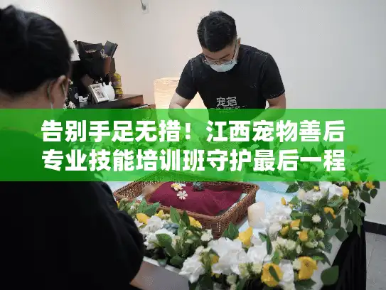 告别手足无措！江西宠物善后专业技能培训班守护最后一程温暖