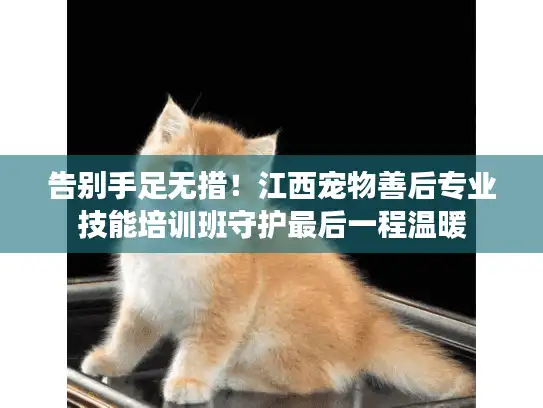告别手足无措！江西宠物善后专业技能培训班守护最后一程温暖