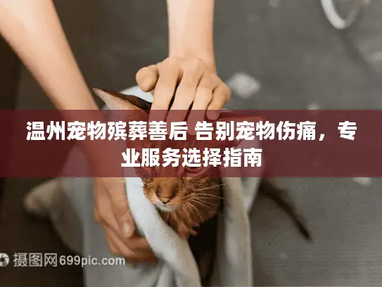 温州宠物殡葬善后 告别宠物伤痛，专业服务选择指南