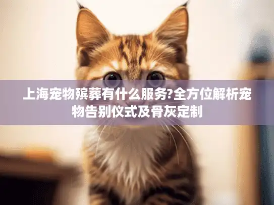 上海宠物殡葬有什么服务?全方位解析宠物告别仪式及骨灰定制